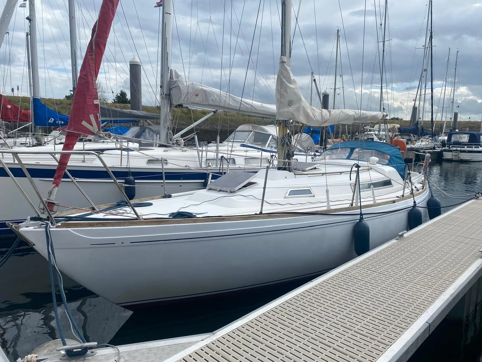 Nicholson 31 Te koop